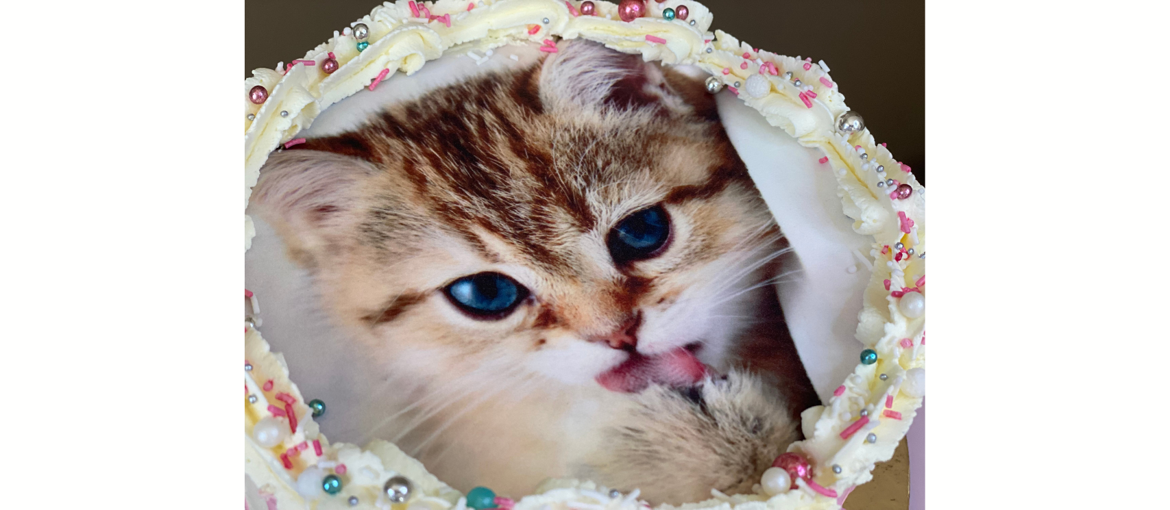 Ganache czekoladowy: krem idealny nie tylko do tortu