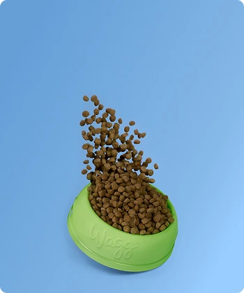 Top Picks for Your Pet!